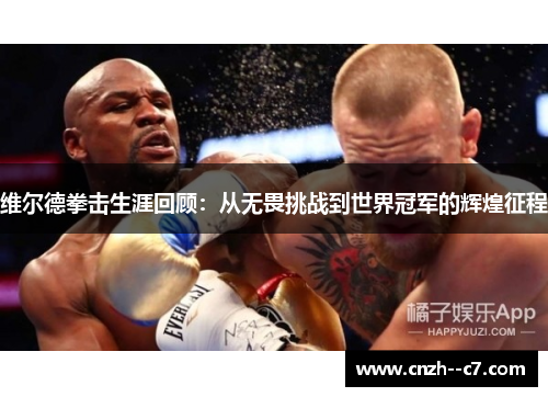 维尔德拳击生涯回顾：从无畏挑战到世界冠军的辉煌征程