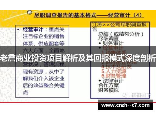 老詹商业投资项目解析及其回报模式深度剖析