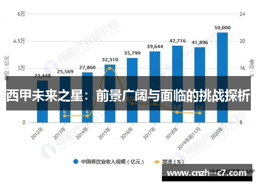 西甲未来之星：前景广阔与面临的挑战探析