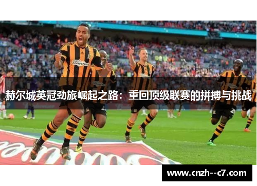 赫尔城英冠劲旅崛起之路：重回顶级联赛的拼搏与挑战
