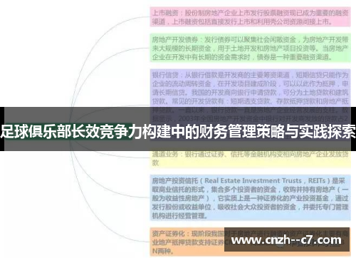 足球俱乐部长效竞争力构建中的财务管理策略与实践探索 足球俱乐部长效竞争力构建中的财务管理策略与实践探索