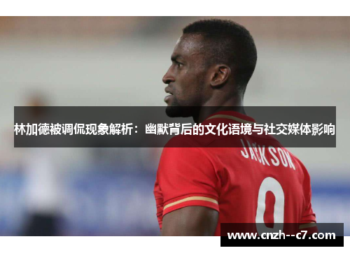 林加德被调侃现象解析：幽默背后的文化语境与社交媒体影响