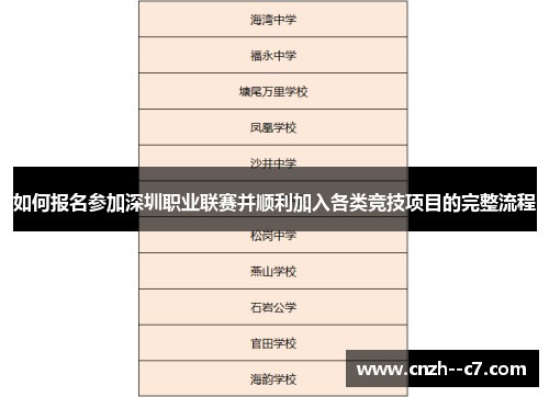 如何报名参加深圳职业联赛并顺利加入各类竞技项目的完整流程